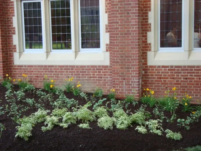 Custom yard cleanup service for outdoor upgrades in Greenwich, CT by Greenwich Garden Design LLC