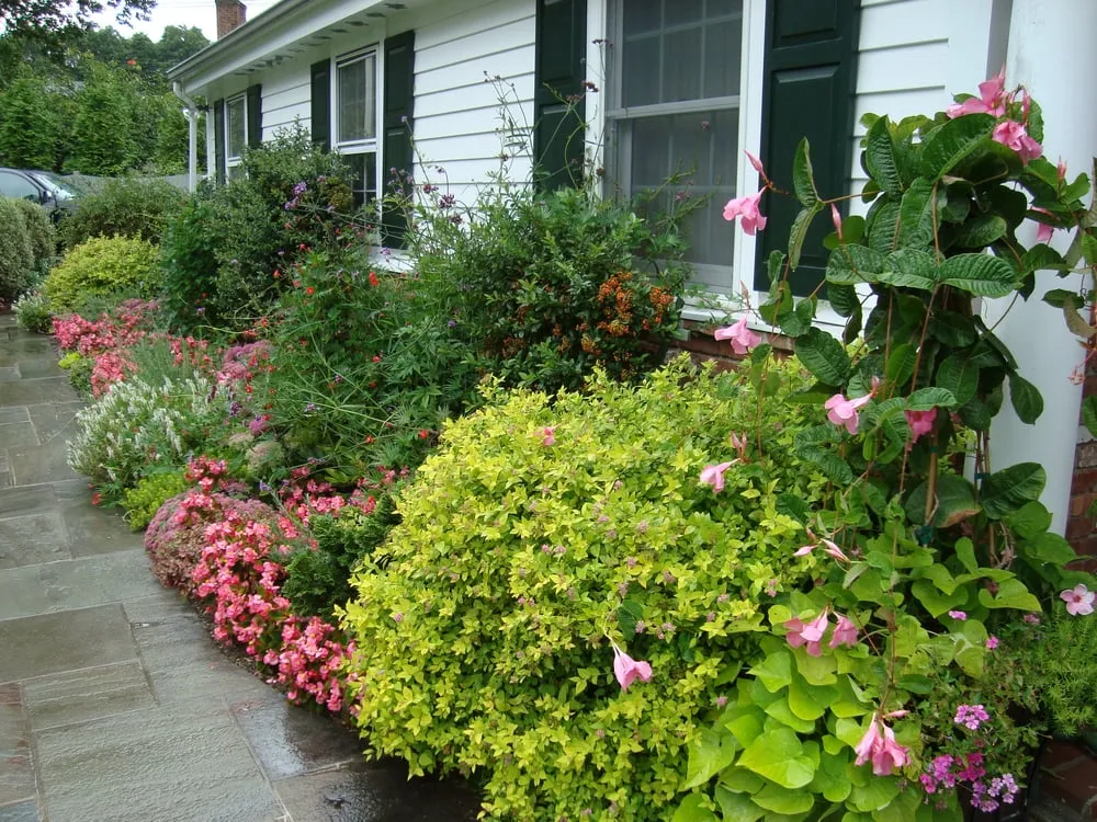 Affordable residential landscaping for beautiful yards across Greenwich, CT - Greenwich Garden Design LLC