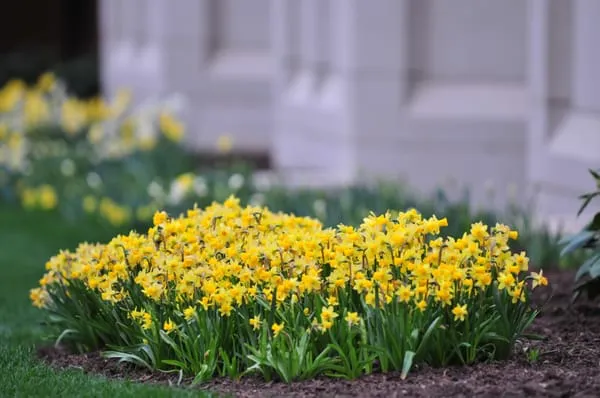 Greenwich Garden Design LLC