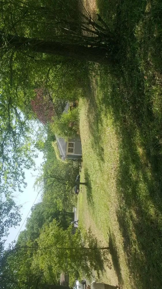 Top-rated residential landscaping in Pinson, AL by Greenwill lawn control