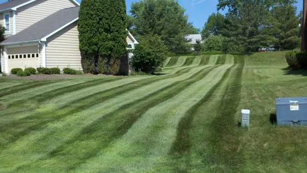 Greenwise Grounds Care Logo