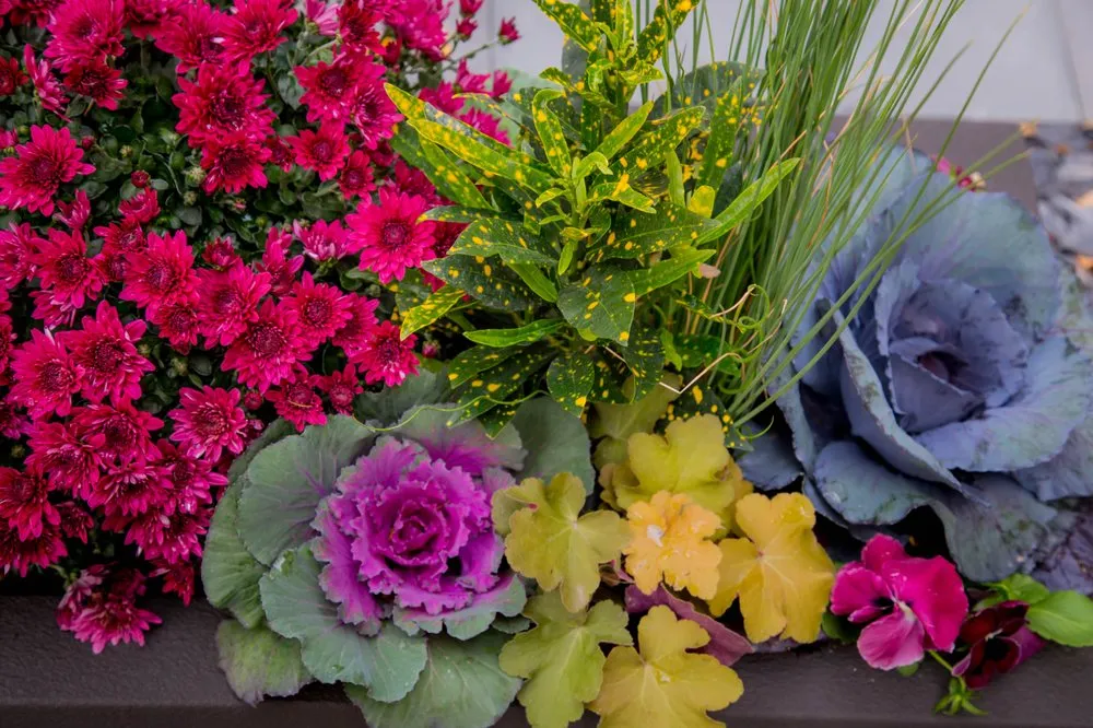 Reliable landscape design near you across Skokie, IL - Greenwise Organic Lawn Care