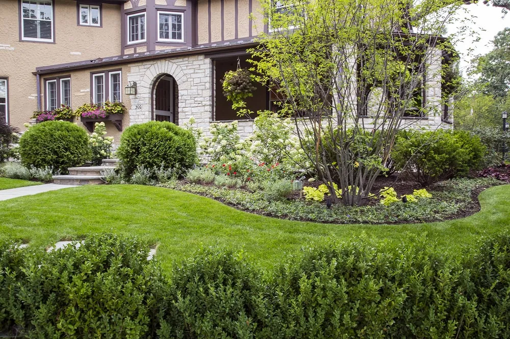 Trusted yard cleanup service experts serving Skokie, IL - Greenwise Organic Lawn Care
