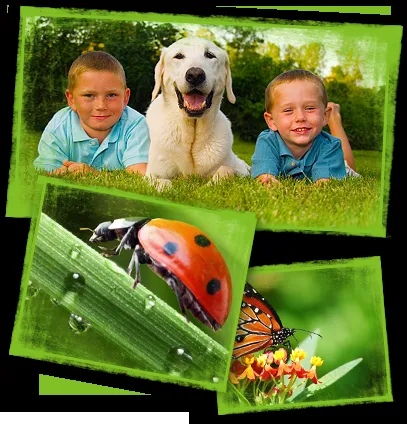 Affordable residential landscaping for outdoor upgrades in Skokie, IL by Greenwise Organic Lawn Care