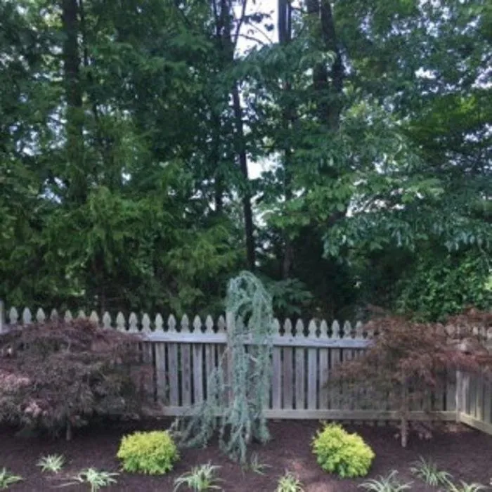 Custom landscape installation in Manassas, VA by GreenWish