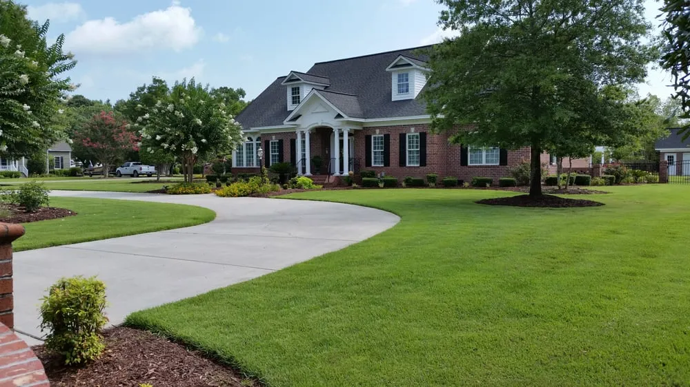 Affordable yard cleanup service for year-round maintenance in Myrtle Beach, SC by Greenwize Lawn Care