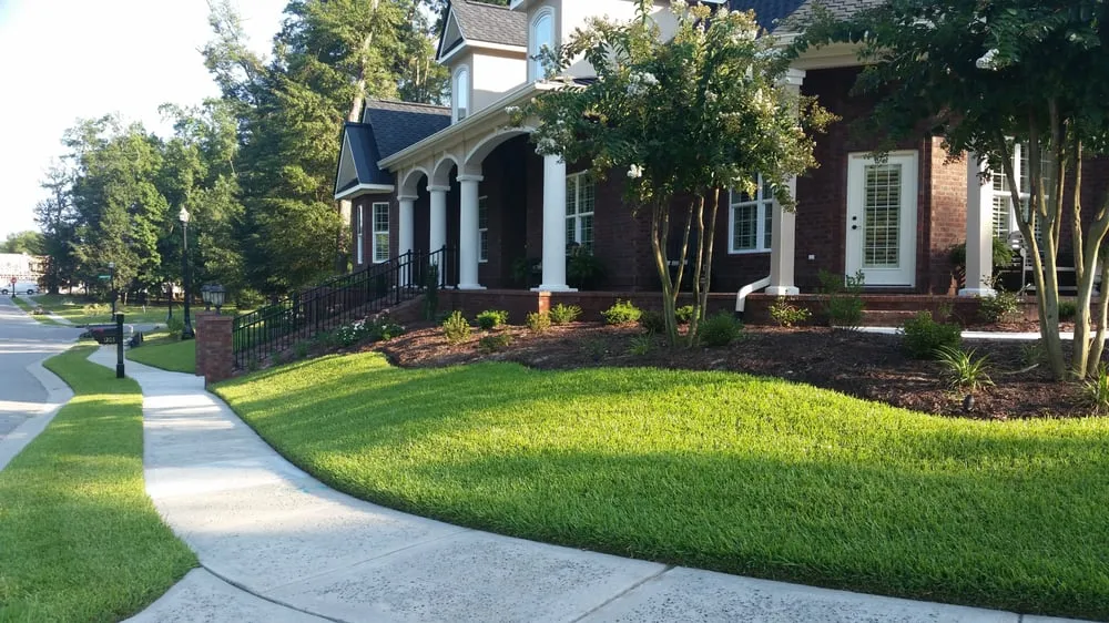 Top-rated landscape installation experts serving Myrtle Beach, SC - Greenwize Lawn Care
