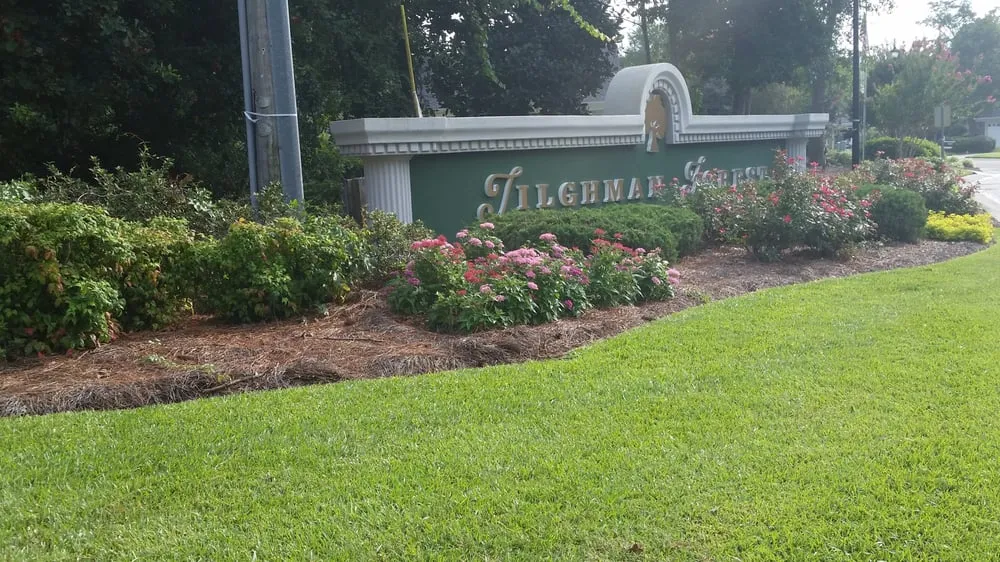 Affordable lawn mowing service for year-round maintenance across Myrtle Beach, SC - Greenwize Lawn Care