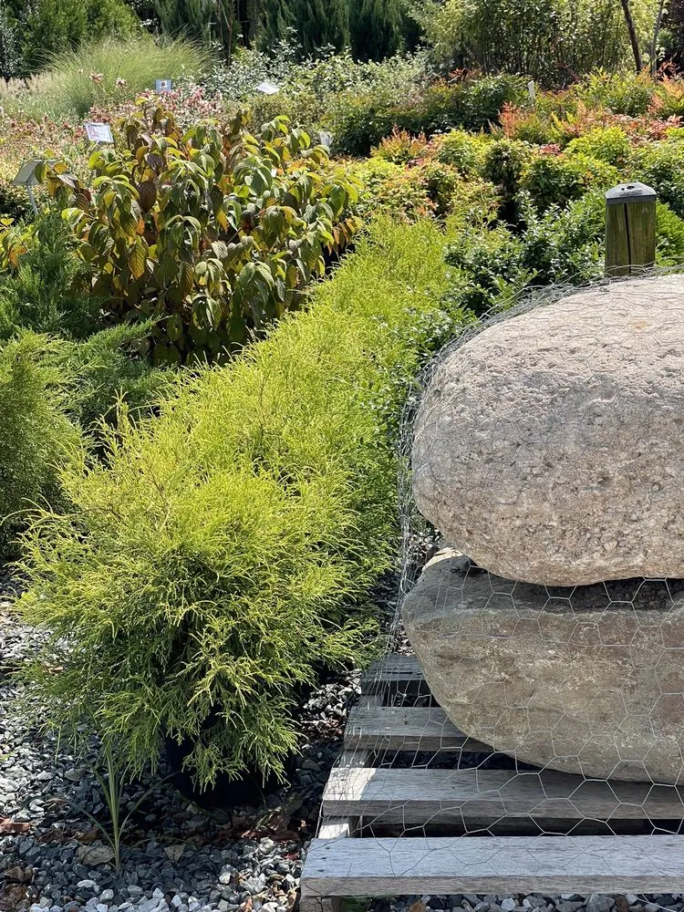 Affordable landscape design near you across Queenstown, MD - Greenwood Creek Nursery