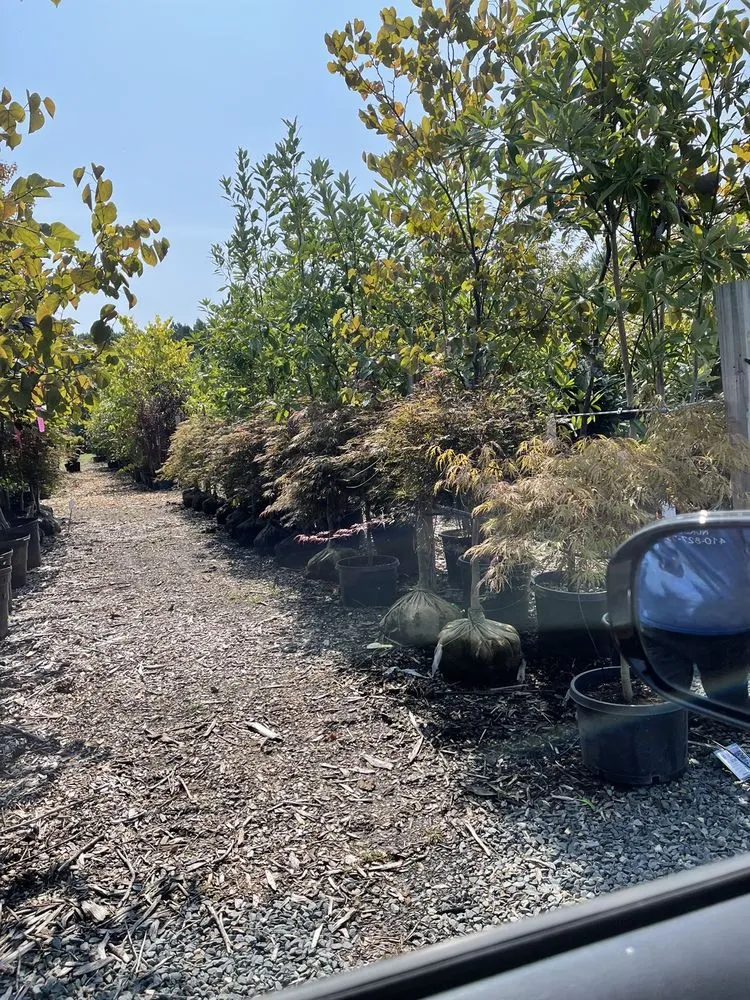 Custom garden landscaping experts serving Queenstown, MD - Greenwood Creek Nursery