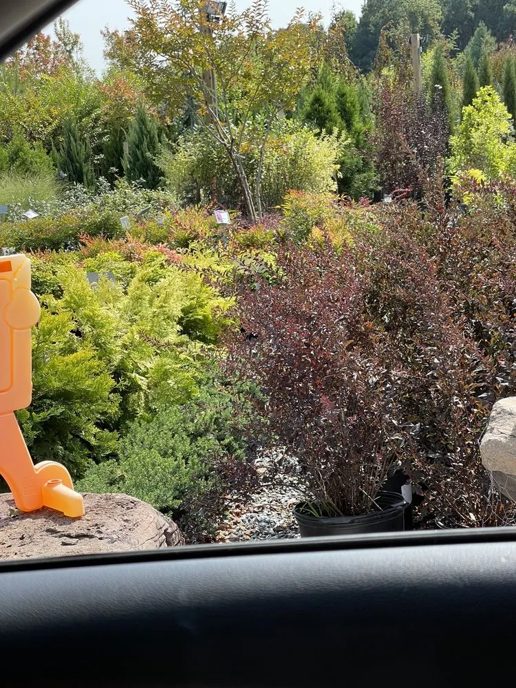 Top-rated landscaping services in Queenstown, MD by Greenwood Creek Nursery