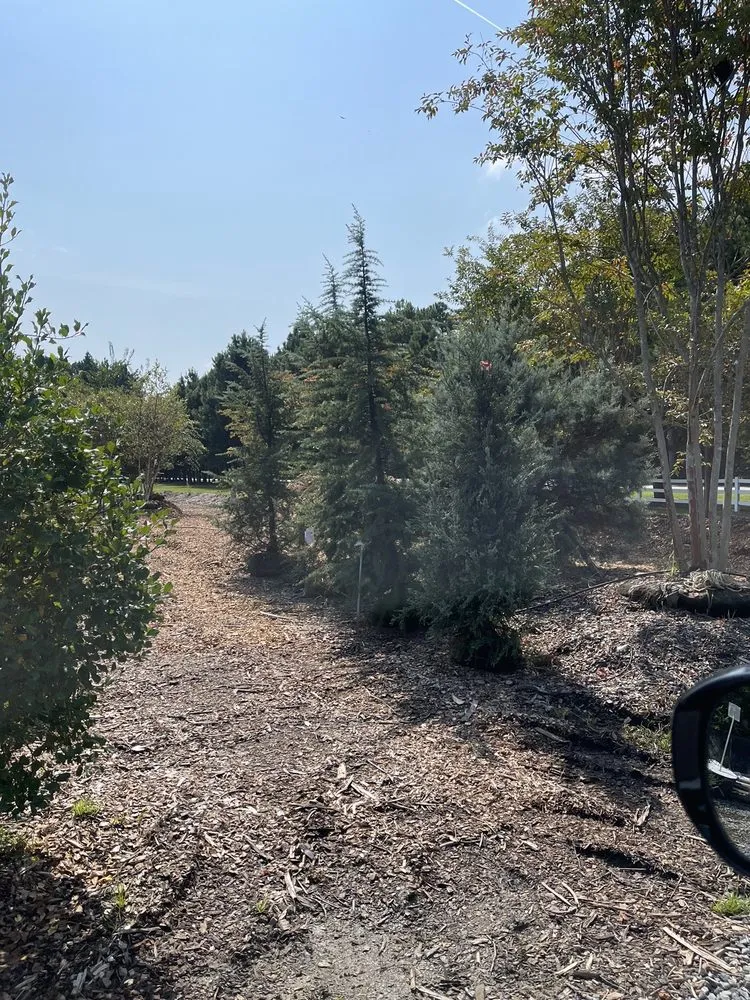 Reliable outdoor landscaping for homes in Queenstown, MD by Greenwood Creek Nursery