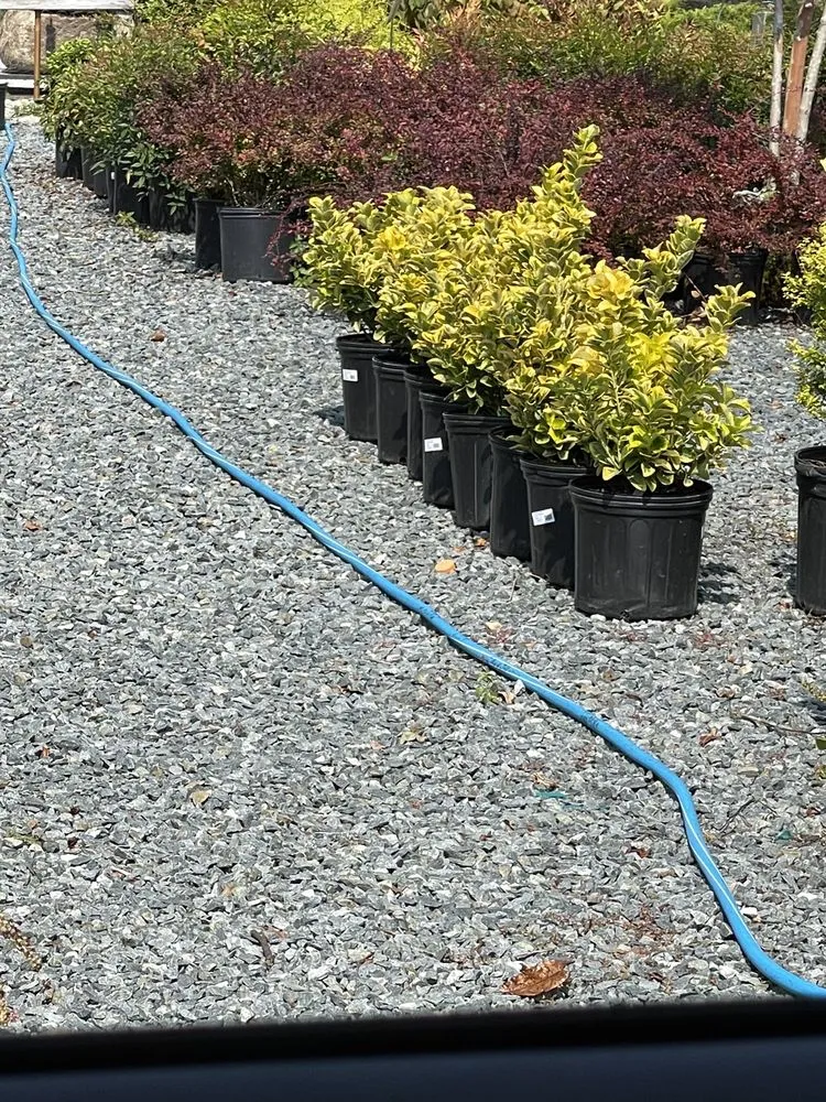 Top-rated yard maintenance near you in Queenstown, MD by Greenwood Creek Nursery