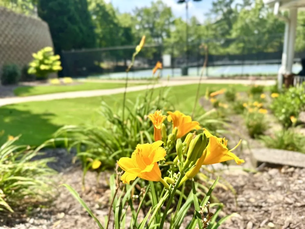 Local lawn mowing service in Atlanta, GA by Greenwood Group