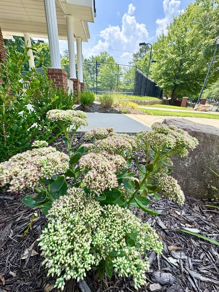 Trusted landscape installation experts serving Atlanta, GA - Greenwood Group