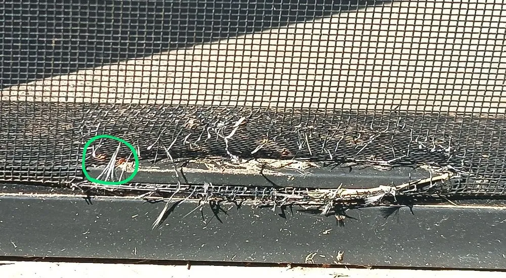 Custom landscape installation experts serving Atlanta, GA - Greenwood Group