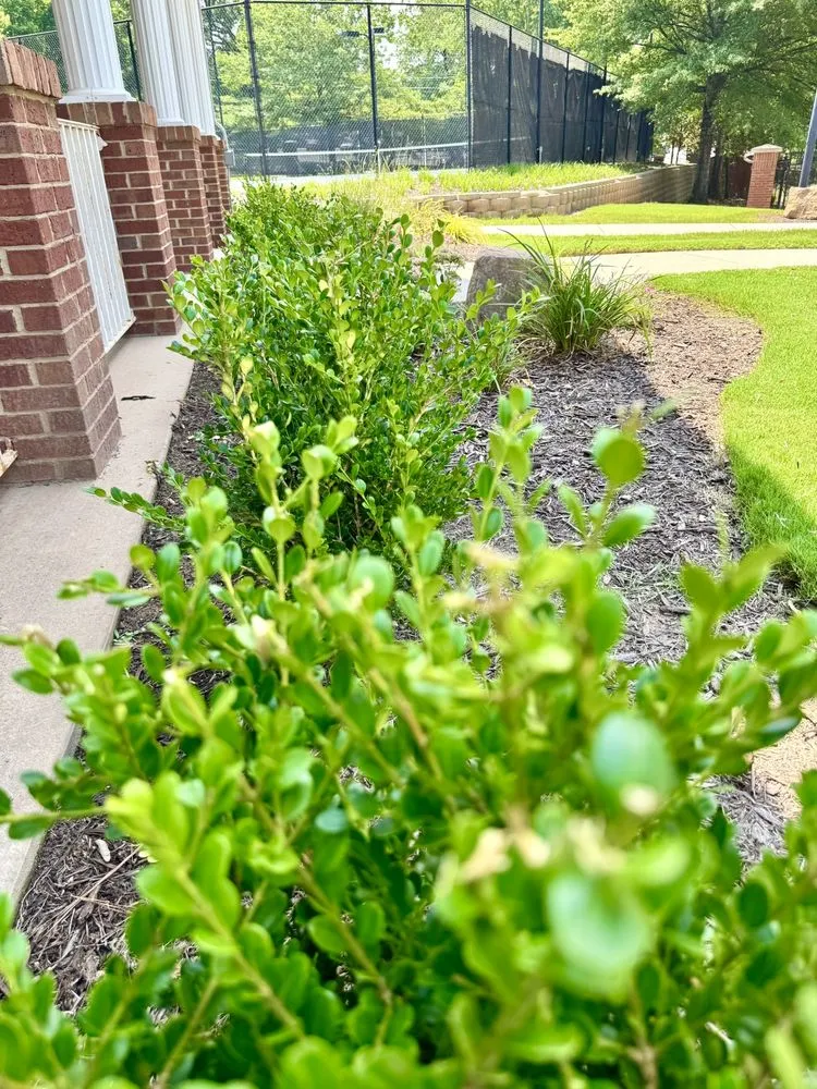 Reliable residential landscaping experts serving Atlanta, GA - Greenwood Group