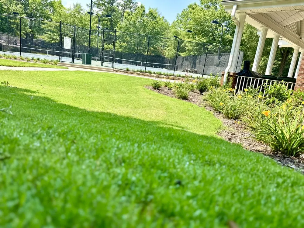 Professional lawn care service for residential properties in Atlanta, GA by Greenwood Group