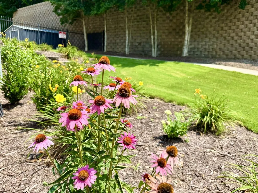 Top-rated lawn care service in Atlanta, GA by Greenwood Group