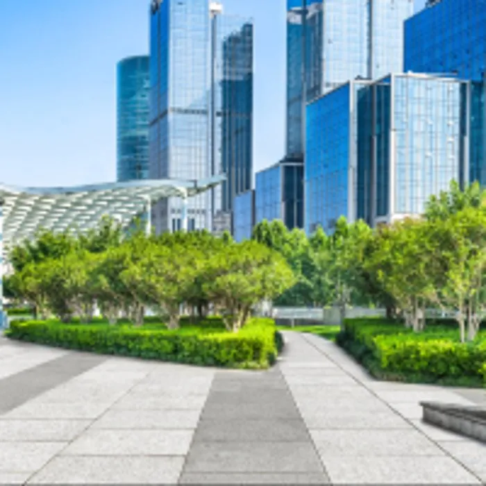 Professional yard maintenance near you in Katy, TX by Greenwood Irrigation & Lawn Care