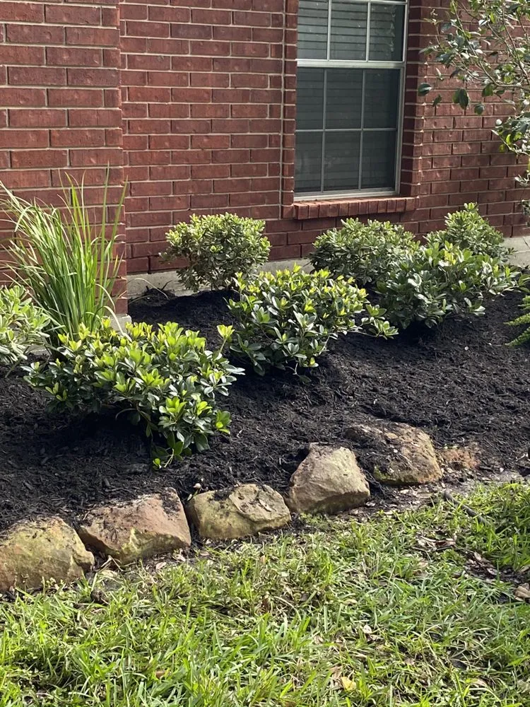 Professional outdoor landscaping for residential properties in Katy, TX by Greenwood Irrigation & Lawn Care