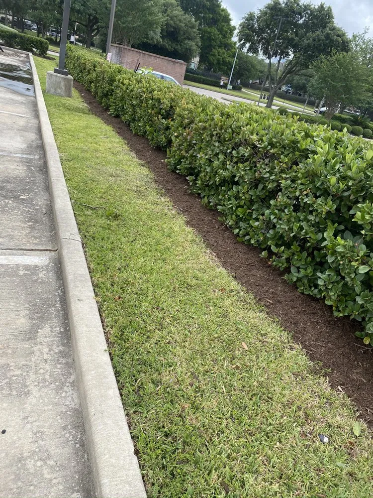 Expert landscape design in Katy, TX by Greenwood Irrigation & Lawn Care