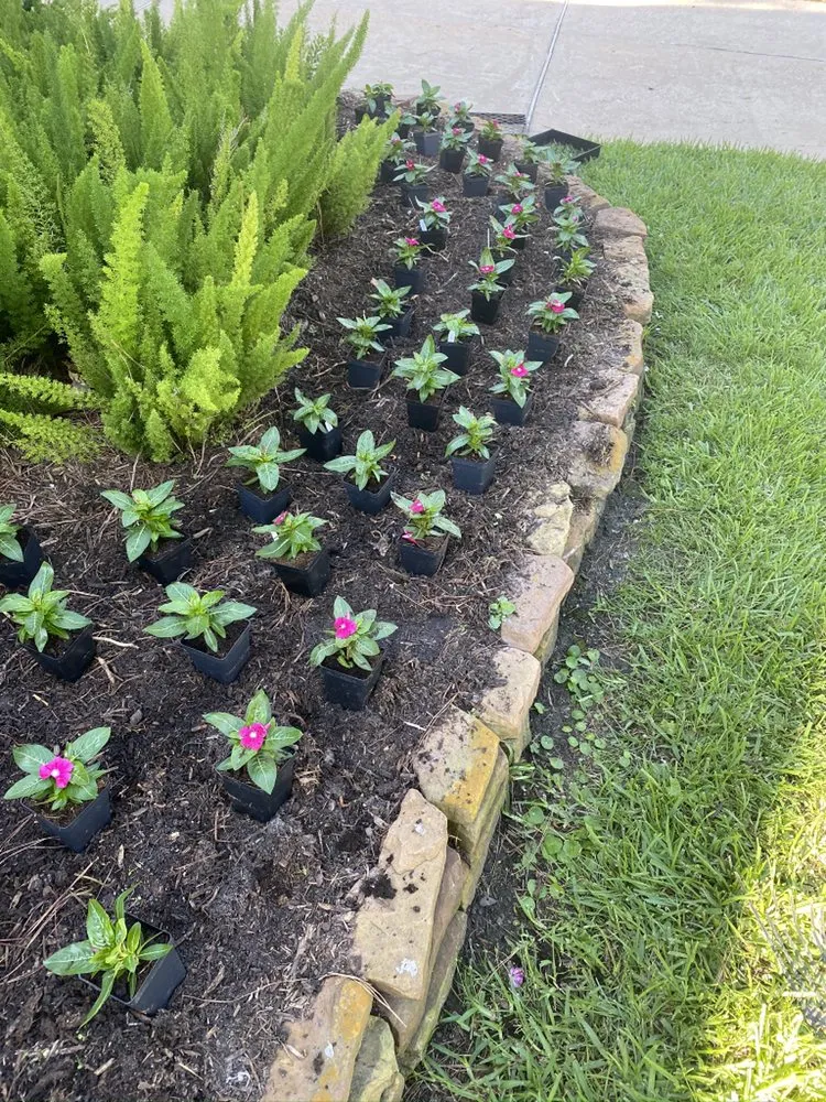 Expert garden landscaping experts serving Katy, TX - Greenwood Irrigation & Lawn Care