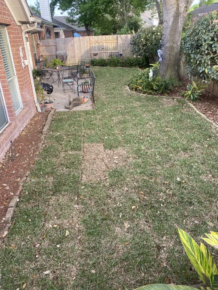 Top-rated landscape design experts serving Katy, TX - Greenwood Irrigation & Lawn Care