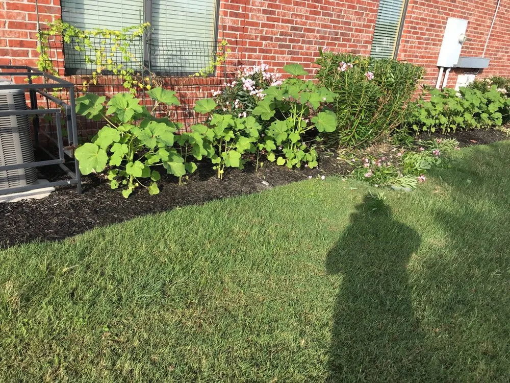 Affordable landscape design in Katy, TX by Greenwood Irrigation & Lawn Care