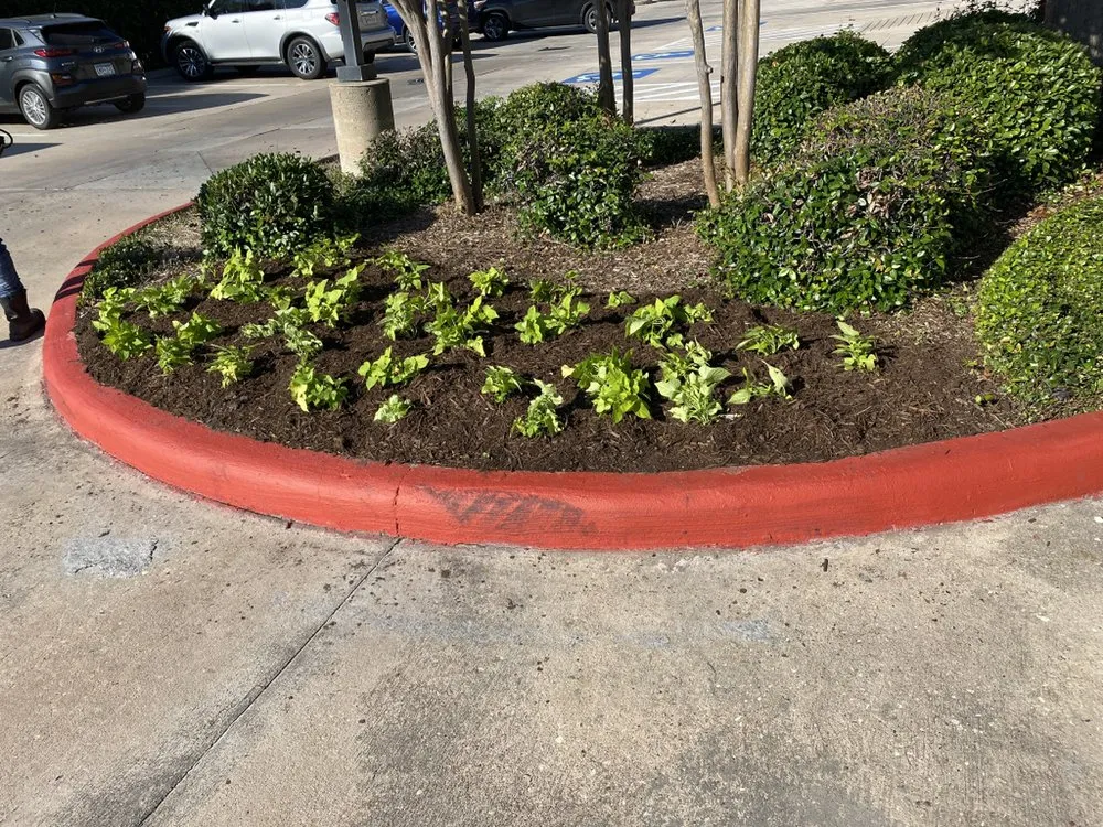 Reliable yard maintenance in Katy, TX by Greenwood Irrigation & Lawn Care