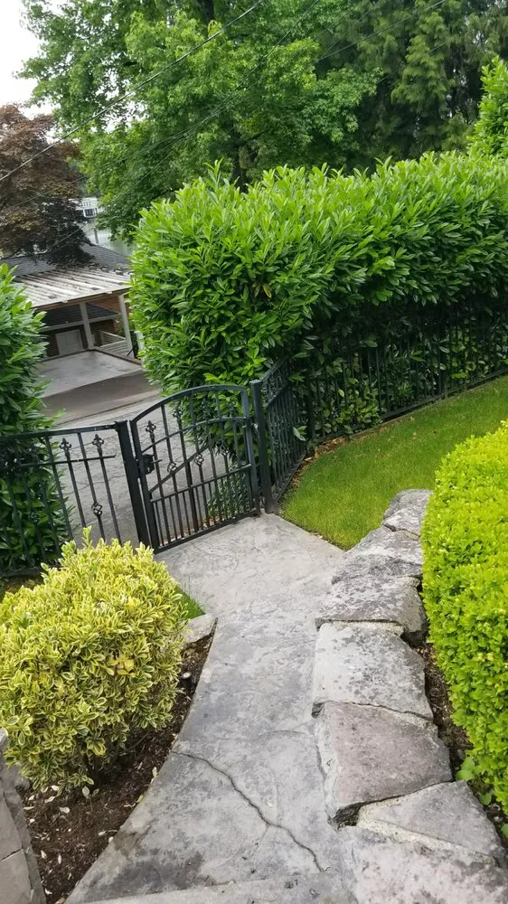 Custom lawn care service for beautiful yards across Woodburn, OR - Greenwood Landscape