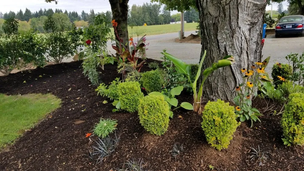 Professional yard cleanup service experts serving Woodburn, OR - Greenwood Landscape