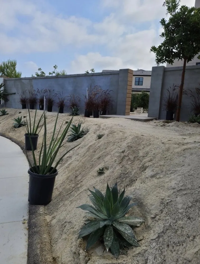 Top-rated lawn care service in Hesperia, CA by Greenwood Landscaping