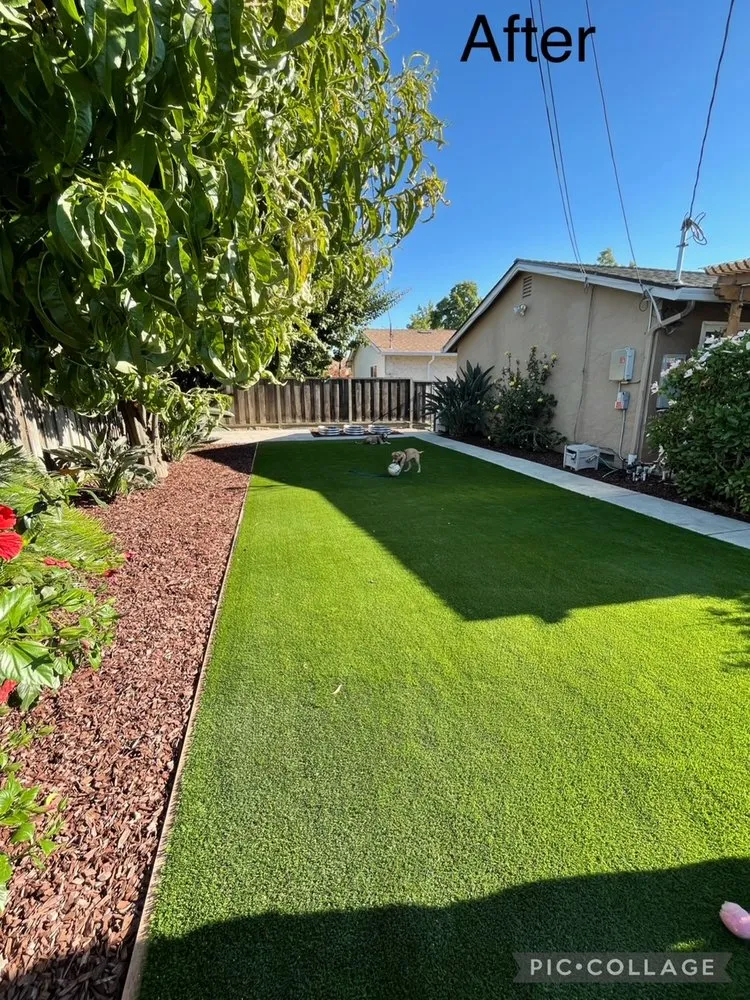 Top-rated outdoor landscaping for homes in Santa Clara, CA by Greenwood Landscaping