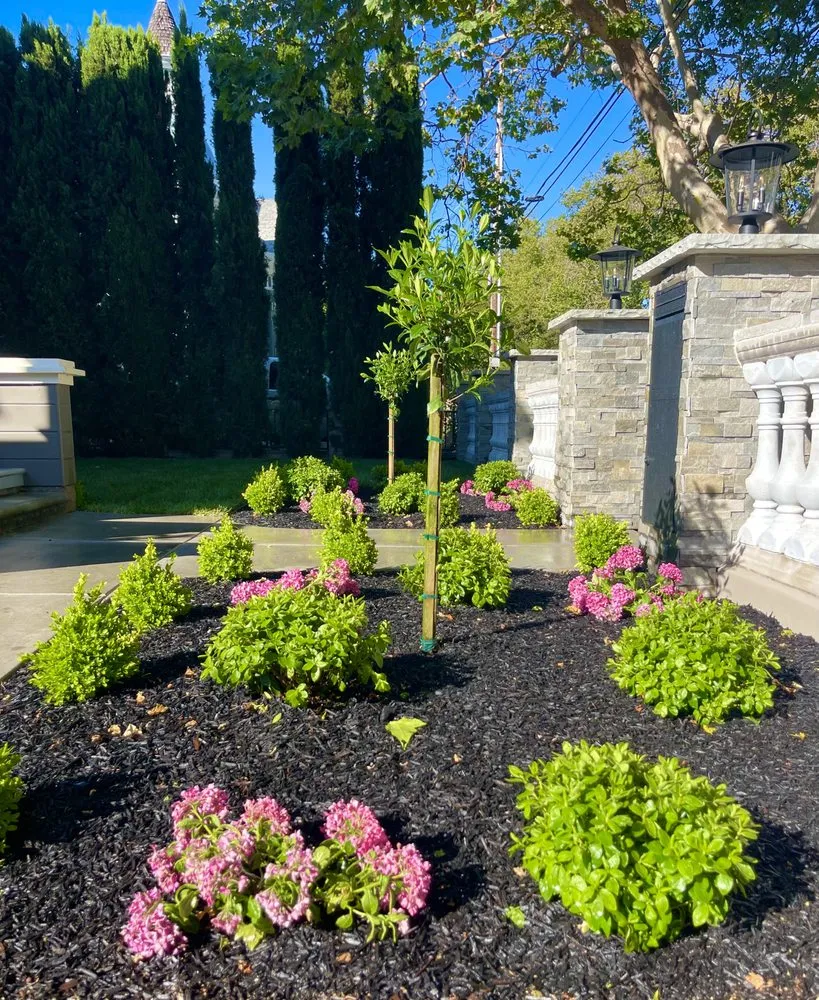 Custom landscaping services for homes in Santa Clara, CA by Greenwood Landscaping