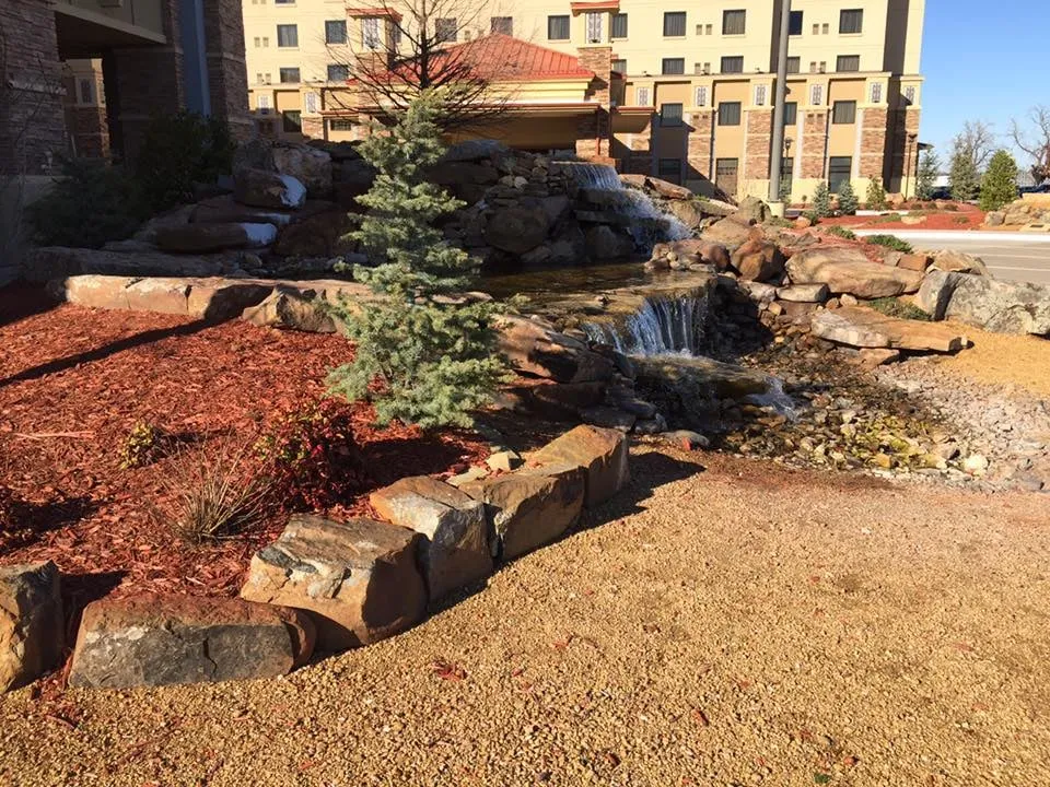 Expert yard cleanup service for beautiful yards across Wichita Falls, TX - Greenwood Landscaping