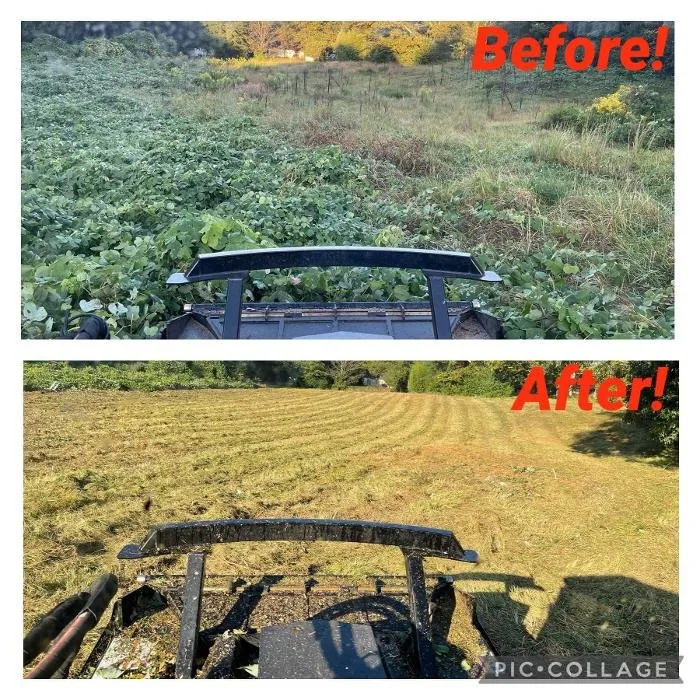 Custom garden landscaping in Talladega, AL by Greenwood Lawn and Landscape