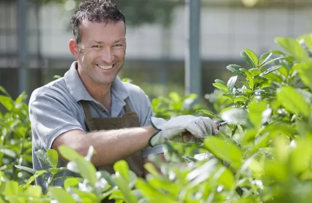 Affordable landscaping services in Greenwood, IN - Greenwood Lawn Care