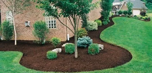 Affordable residential landscaping for residential properties across Greenwood, IN - Greenwood Lawn Care