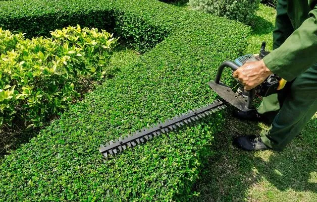 Trusted residential landscaping experts serving Greenwood, IN - Greenwood Lawn Care