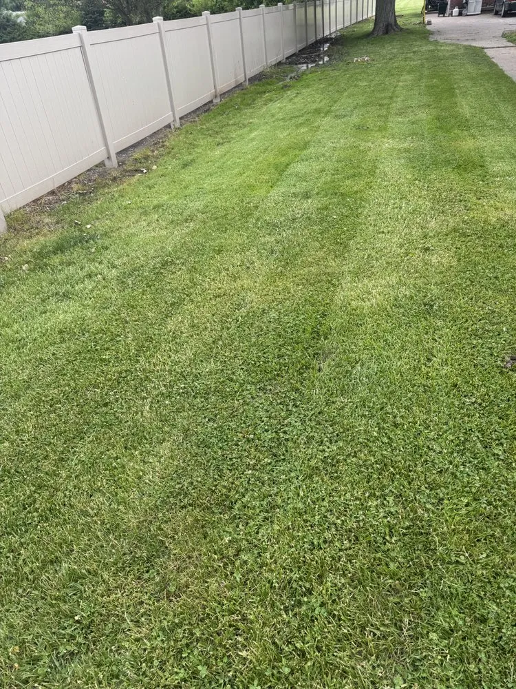 Trusted yard cleanup service in Robinson, IL - Greenwood Lawn Care