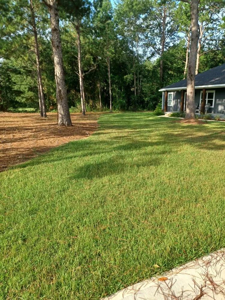 Reliable landscape installation experts serving Thomasville, GA - Greenwood Lawn Care