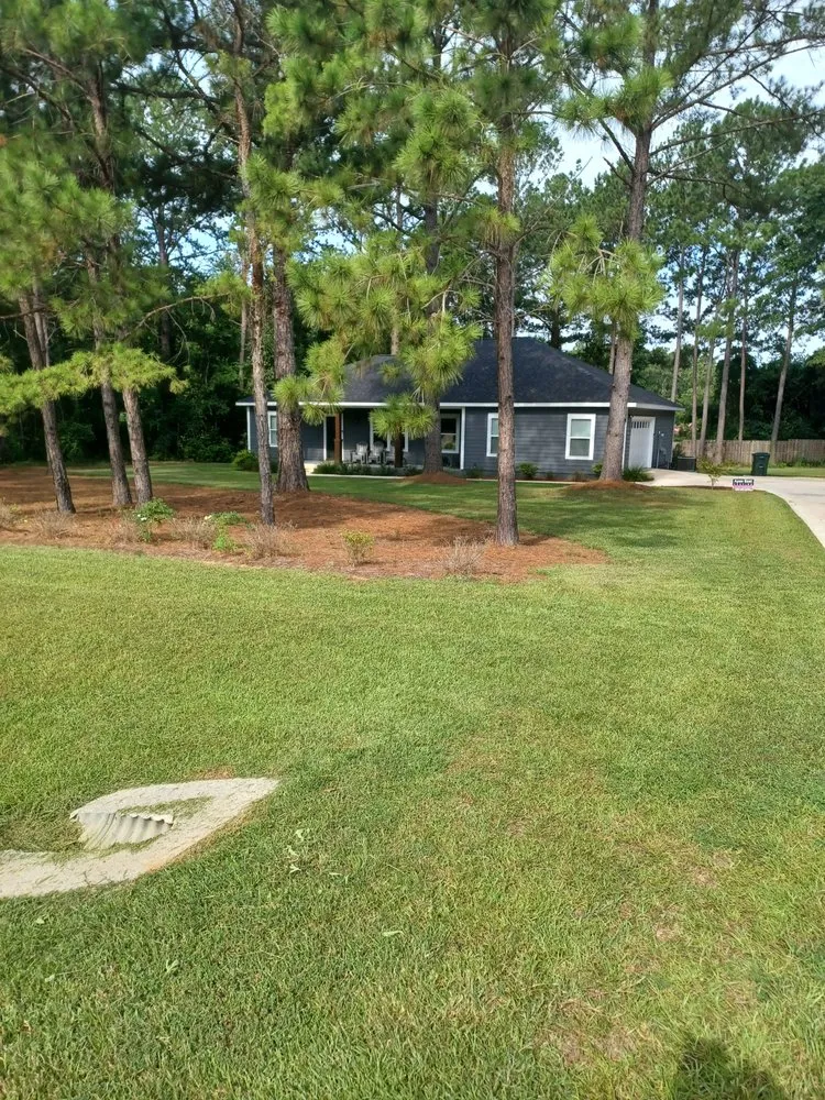 Expert yard maintenance in Thomasville, GA - Greenwood Lawn Care