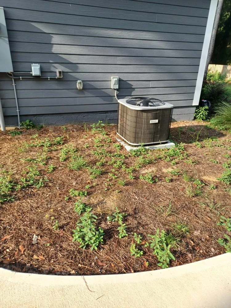 Reliable landscape design in Thomasville, GA - Greenwood Lawn Care