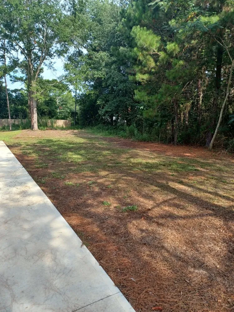 Top-rated yard cleanup service for year-round maintenance in Thomasville, GA by Greenwood Lawn Care