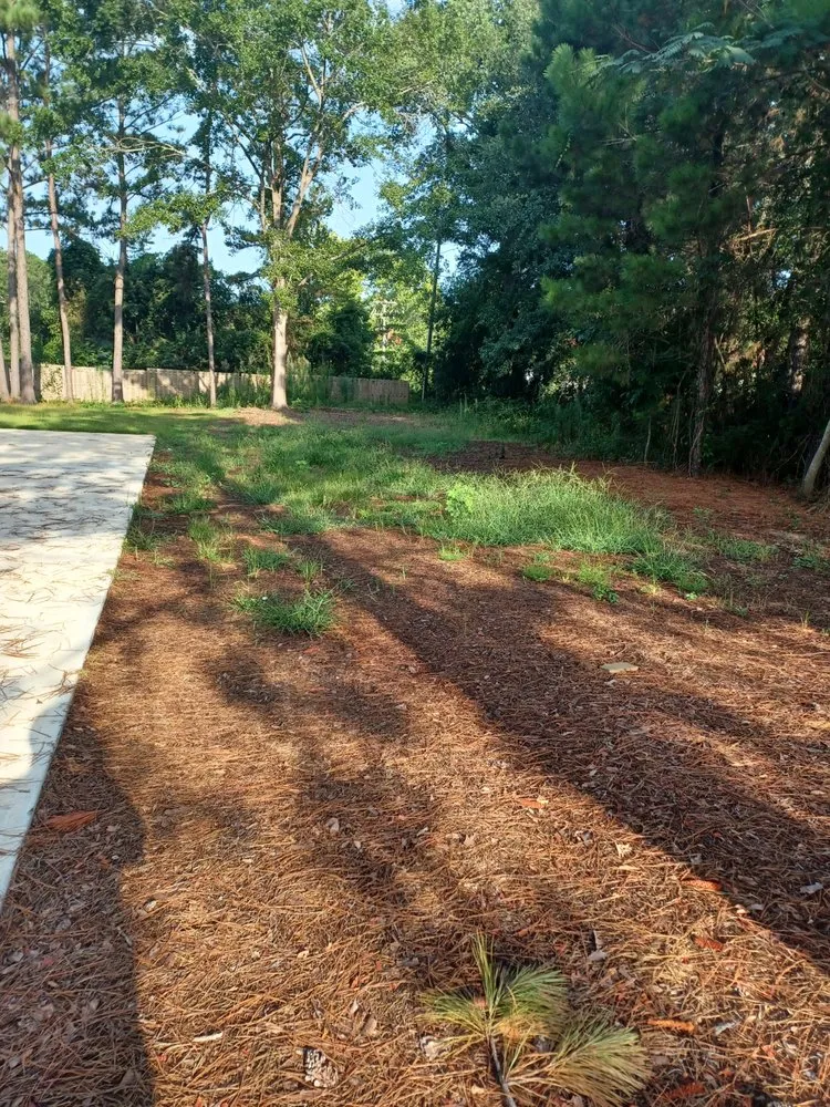 Professional outdoor landscaping experts serving Thomasville, GA - Greenwood Lawn Care