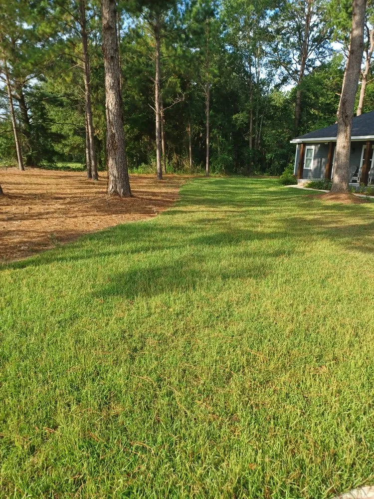 Expert lawn care service with custom design in Thomasville, GA by Greenwood Lawn Care