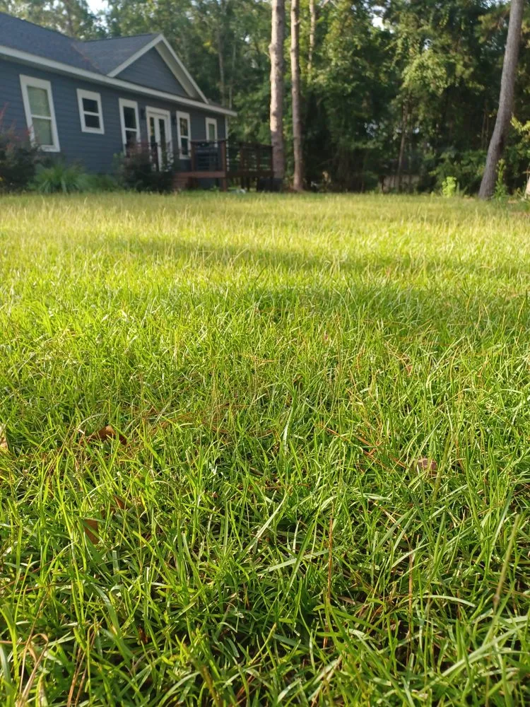 Local garden landscaping in Thomasville, GA - Greenwood Lawn Care