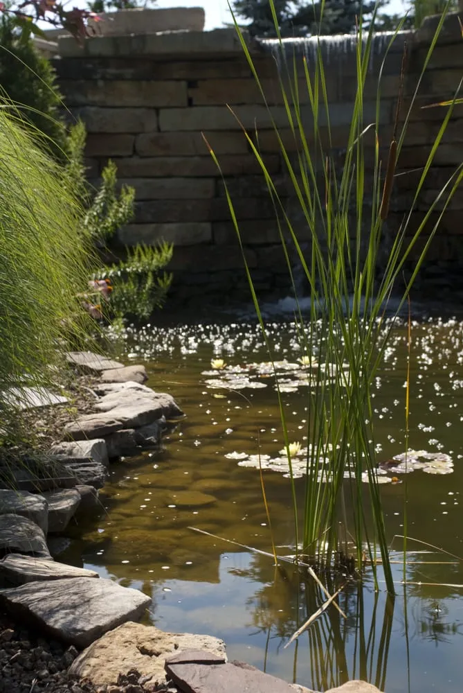 Expert residential landscaping near you across Plainfield, IL - Greenwood Lawn Services