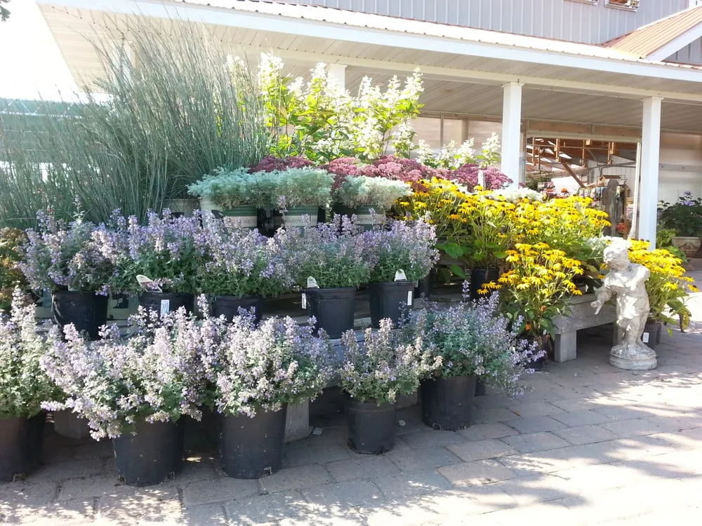 Top-rated garden landscaping for year-round maintenance across Marshall, MN - Greenwood Nursery